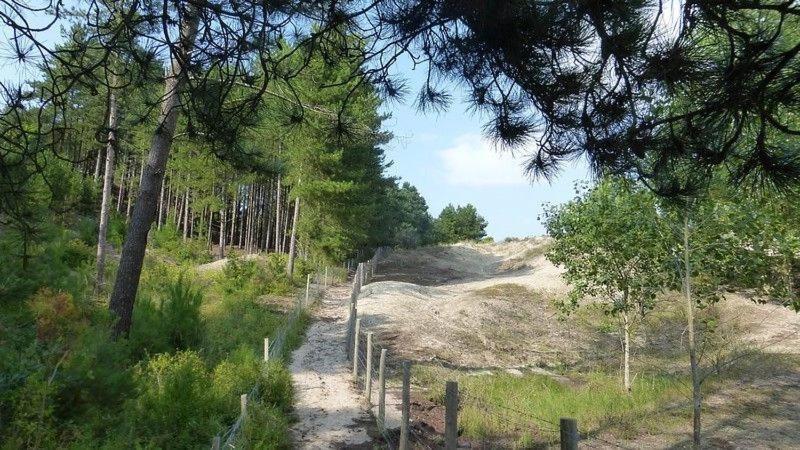Paddle - Vue Mer - 100M Plage Berck Exterior foto